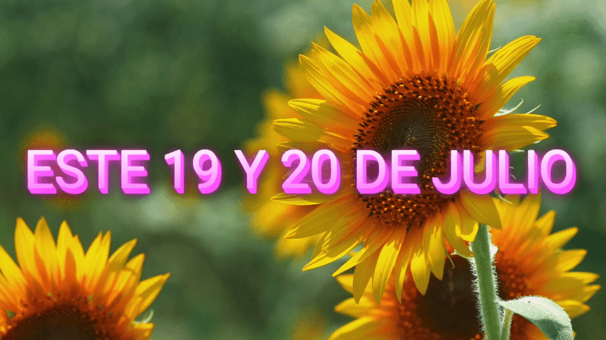 km_20250715_480p_12f_20250715_104252.gif km_20250715_480p_12f_20250715_104252.gif